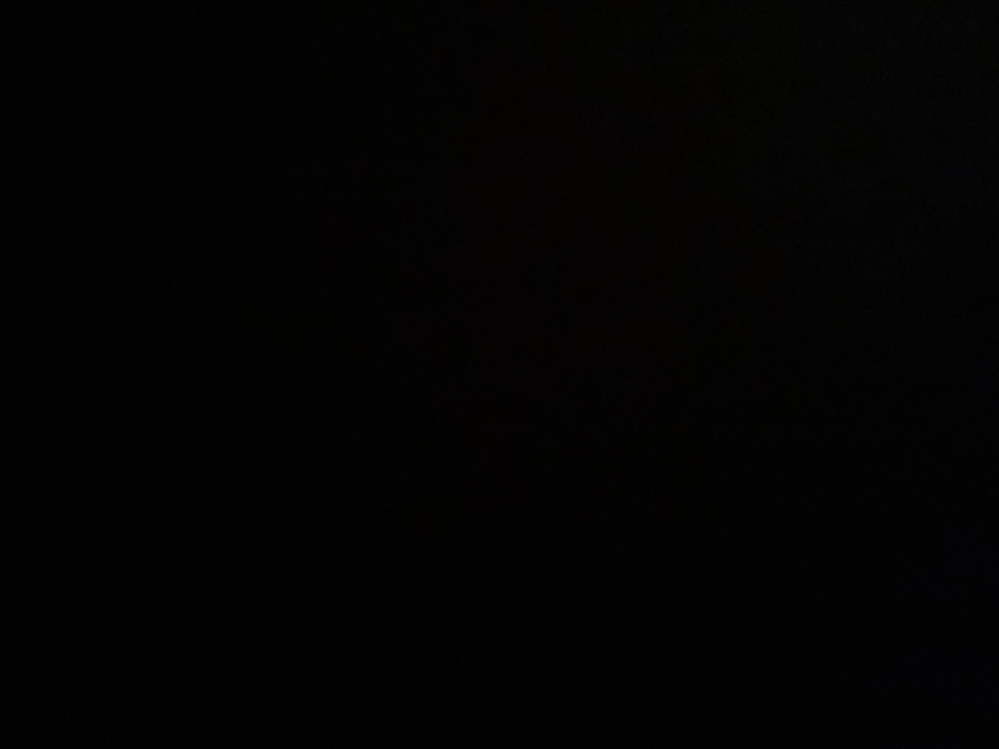 96915319_2024-08-07_042558-500x500